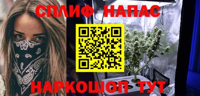PSILOCYBIN Бугуруслан