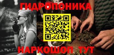 прущие грибы Заводоуковск