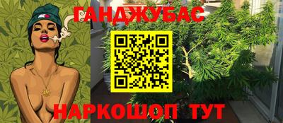 скорость Будённовск