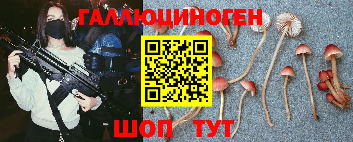 Псилоцибиновые грибы мицелий  Псилоцибиновые грибы Psilocybe  Вход с VPN  Урюпинск 